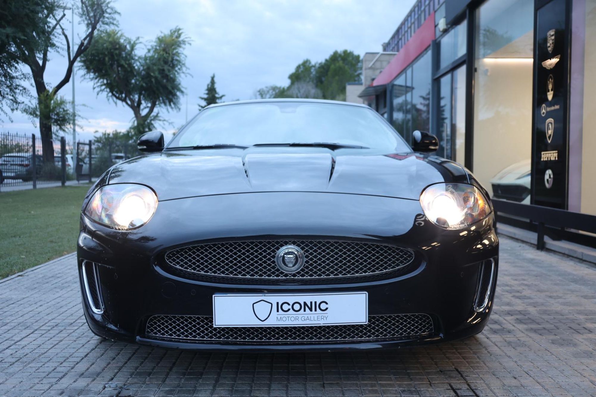 JAGUAR XK