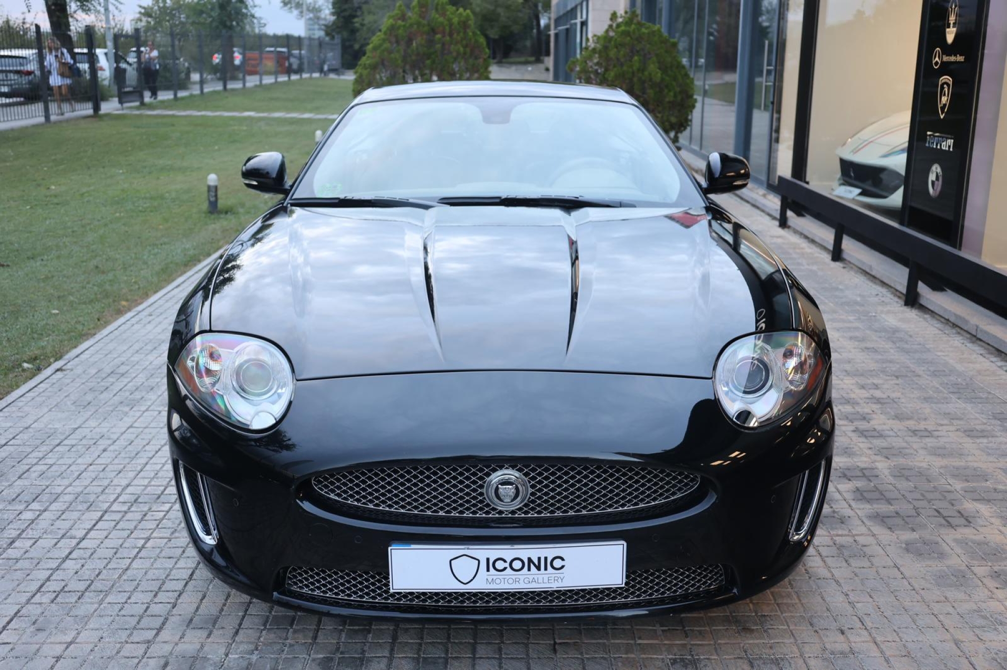 JAGUAR XK