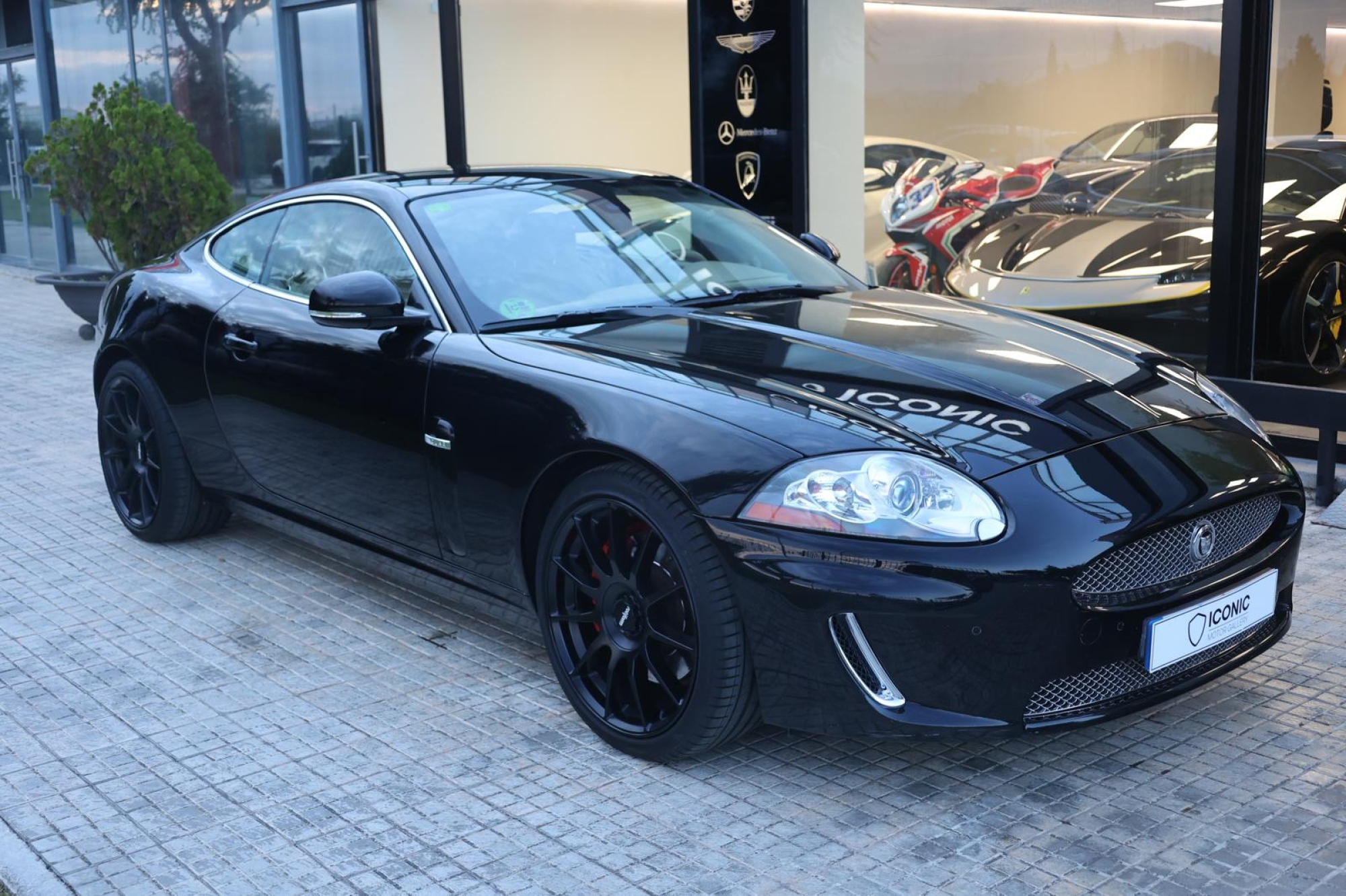 JAGUAR XK